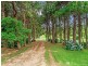 2792 Springbrook Road, Springbrook QLD 4213