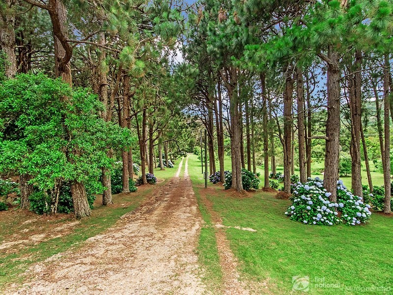 2792 Springbrook Road, Springbrook QLD 4213