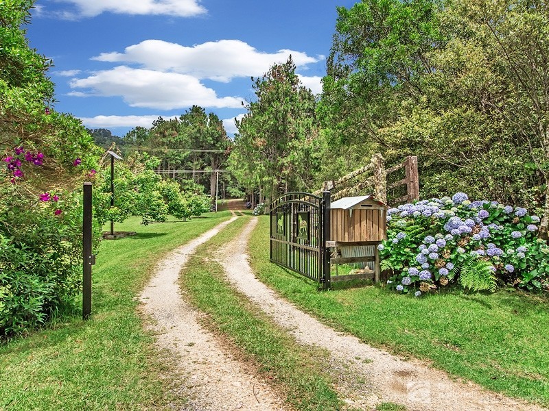 2792 Springbrook Road, Springbrook QLD 4213