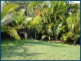 65/5 Greenlands Drive, Varsity Lakes QLD 4227