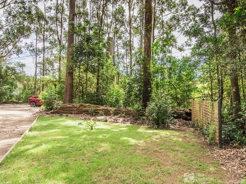 15 Mundora Road, Springbrook QLD 4213
