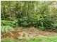 2293 Springbrook Road, Springbrook QLD 4213