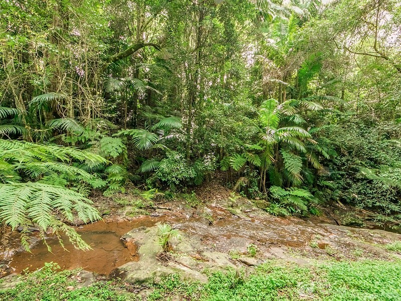 2293 Springbrook Road, Springbrook QLD 4213