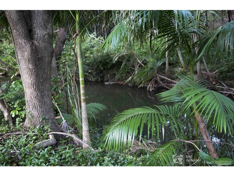 62 Little Nerang Road, Mudgeeraba QLD 4213
