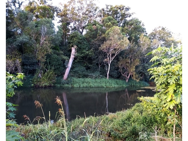 186 Gold Coast Springbrook Road, Mudgeeraba QLD 4213