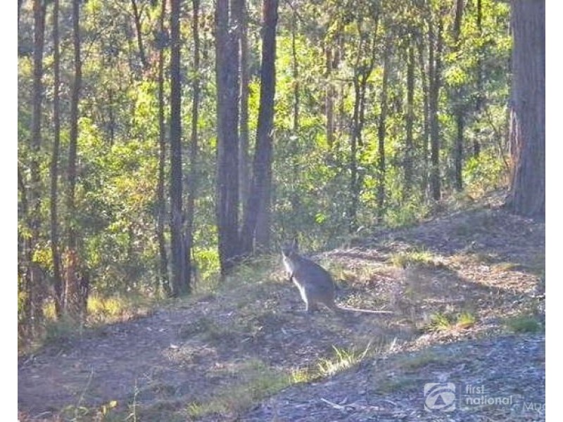 Mudgeeraba QLD 4213