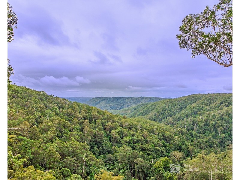 2207 Springbrook Road, Springbrook QLD 4213