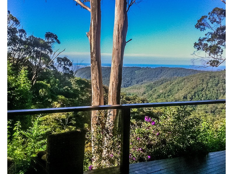 2207 Springbrook Road, Springbrook QLD 4213