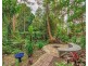 2207 Springbrook Road, Springbrook QLD 4213