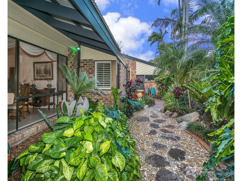 19 Grandview Terrace, Tallai QLD 4213