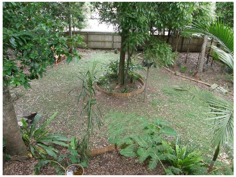 Springbrook QLD 4213