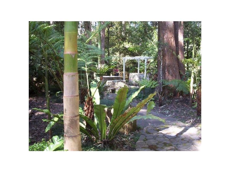 13 Mundora Road, Springbrook QLD 4213