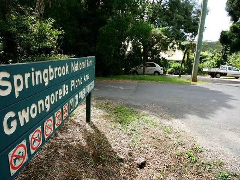 Forestry Road, Springbrook QLD 4213