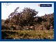 Springbrook QLD 4213