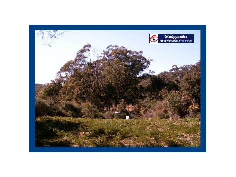 Springbrook QLD 4213