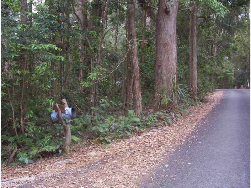 25 Gwongorella Parade, Springbrook QLD 4213