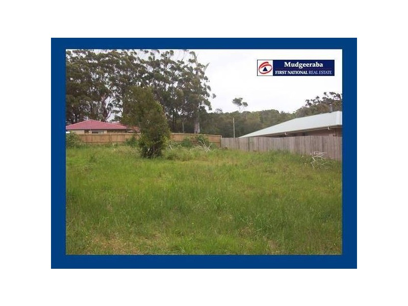 Springbrook QLD 4213