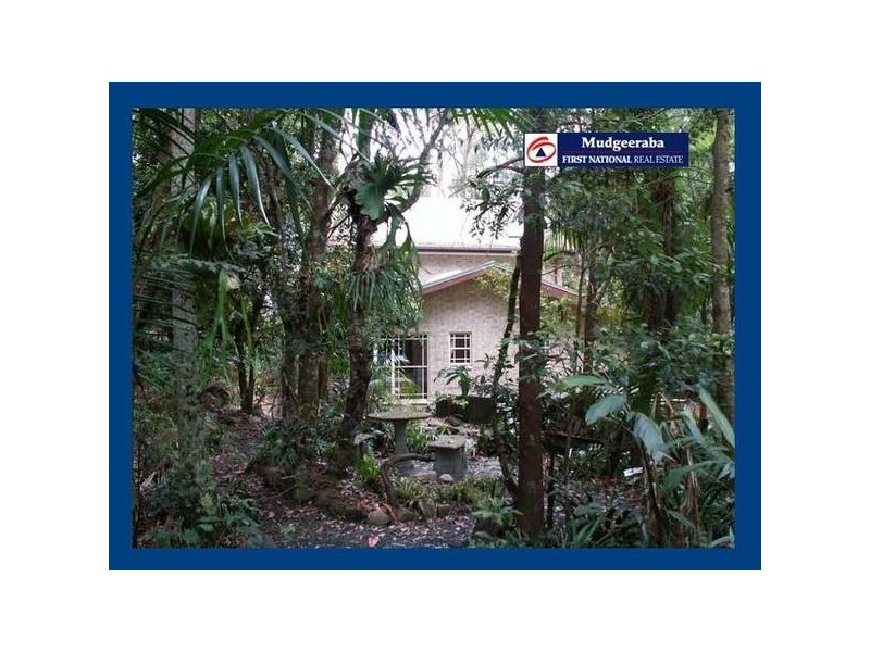 Springbrook QLD 4213