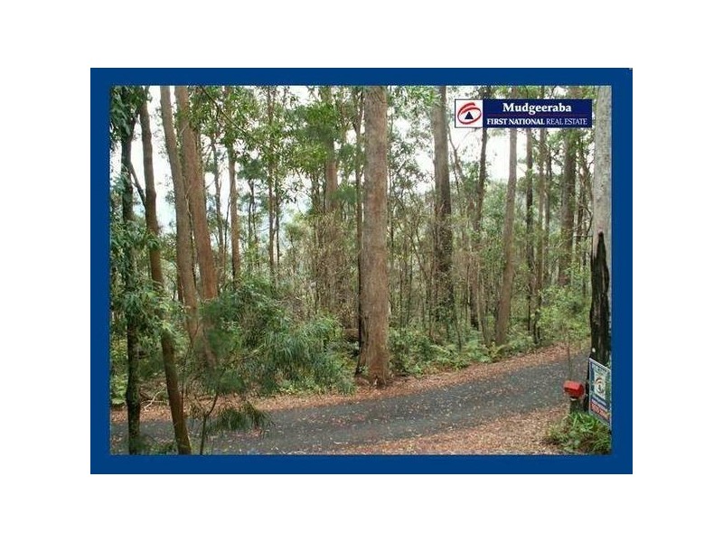 Springbrook QLD 4213