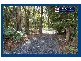 Springbrook QLD 4213