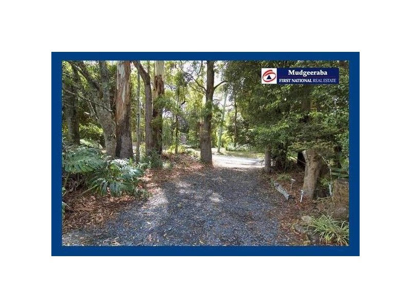 Springbrook QLD 4213