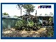 Springbrook QLD 4213