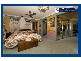 Springbrook QLD 4213