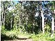 2138 Springbrook Road, Springbrook QLD 4213