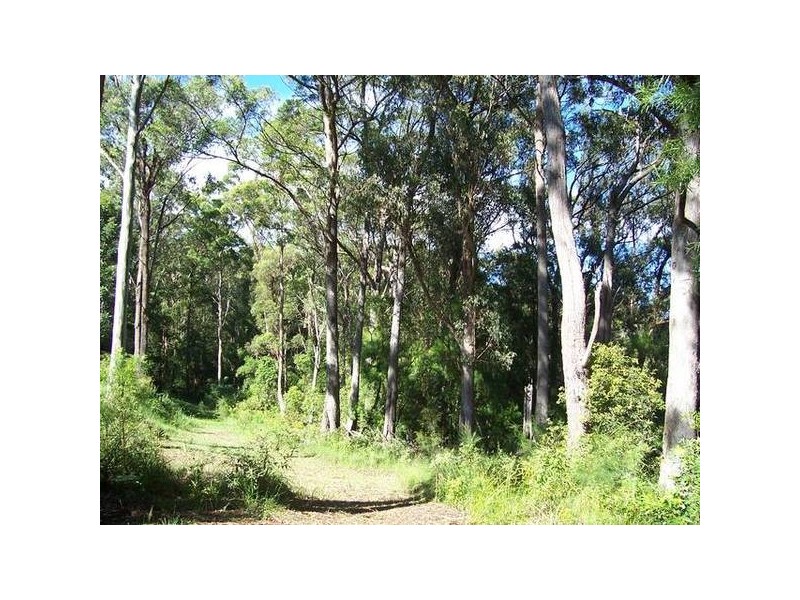 2138 Springbrook Road, Springbrook QLD 4213