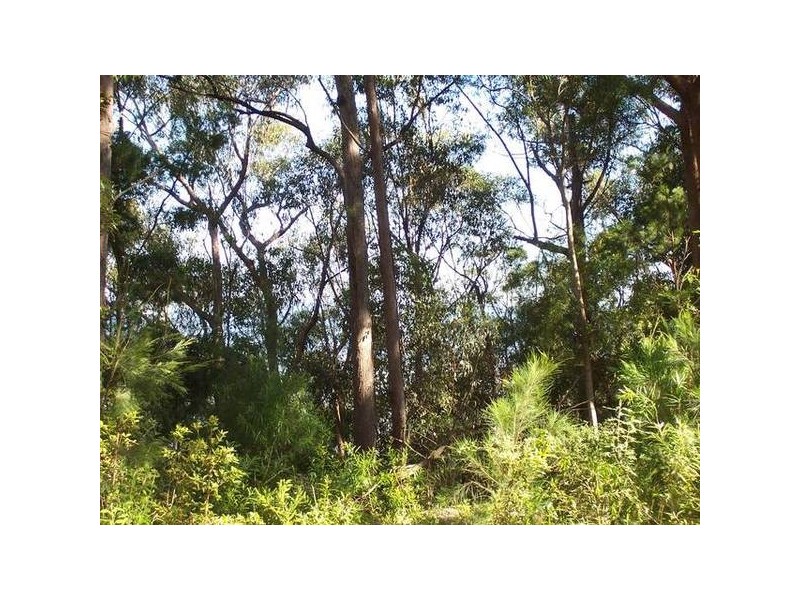 2138 Springbrook Road, Springbrook QLD 4213