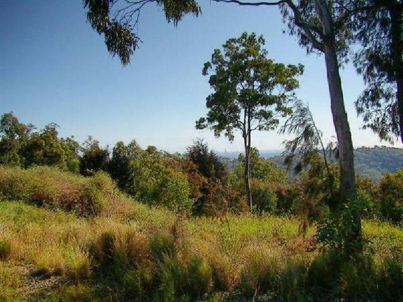 55 Brackenfield Court, Bonogin QLD 4213