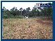 2347 Springbrook Road, Springbrook QLD 4213