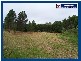 2347 Springbrook Road, Springbrook QLD 4213
