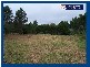 2347 Springbrook Road, Springbrook QLD 4213