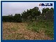2347 Springbrook Road, Springbrook QLD 4213