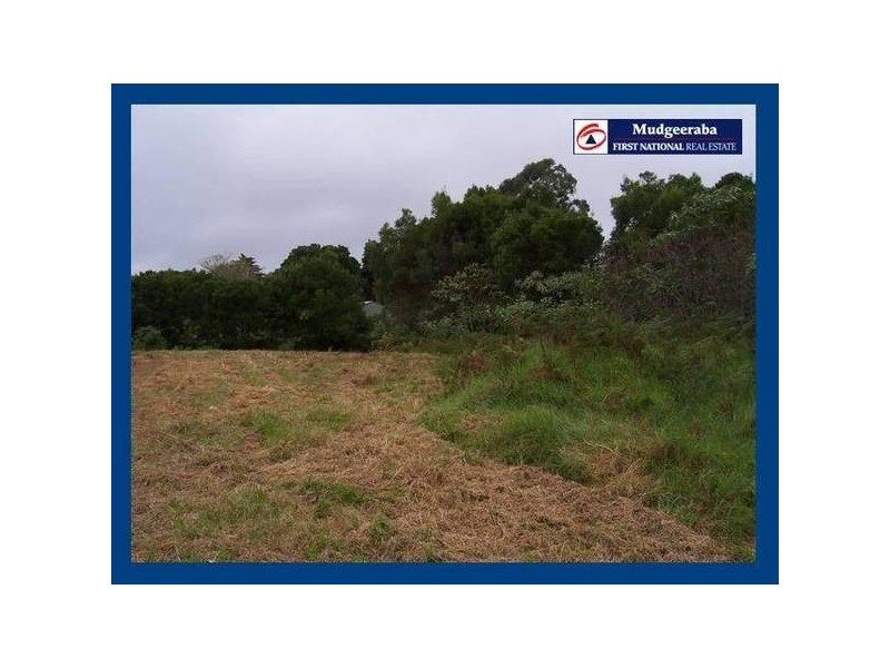 2347 Springbrook Road, Springbrook QLD 4213