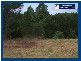 2347 Springbrook Road, Springbrook QLD 4213