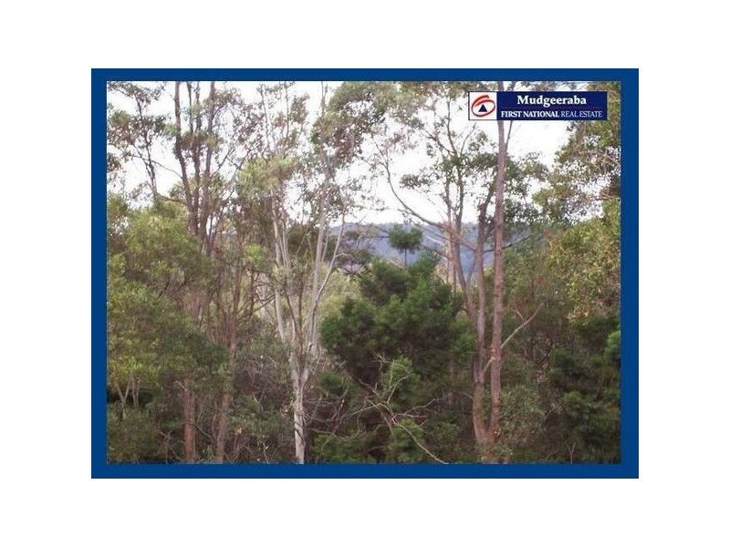 45 Lyre-Bird Ridge Road, Springbrook QLD 4213