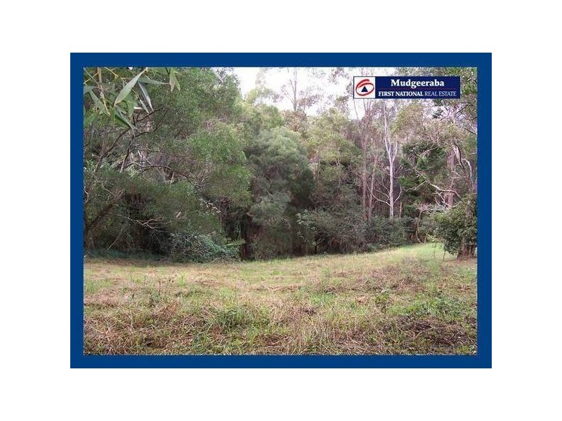 45 Lyre-Bird Ridge Road, Springbrook QLD 4213