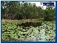 14 Lyminge Court, Bonogin QLD 4213