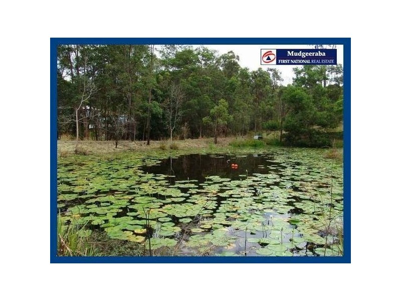 14 Lyminge Court, Bonogin QLD 4213