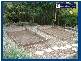14 Lyminge Court, Bonogin QLD 4213