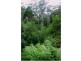 21 Ee-jung Road, Springbrook QLD 4213
