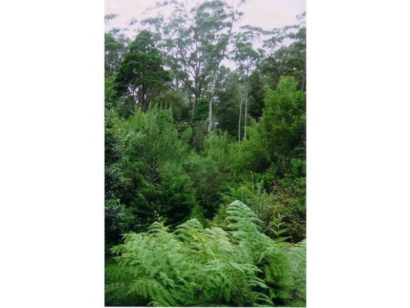 21 Ee-jung Road, Springbrook QLD 4213