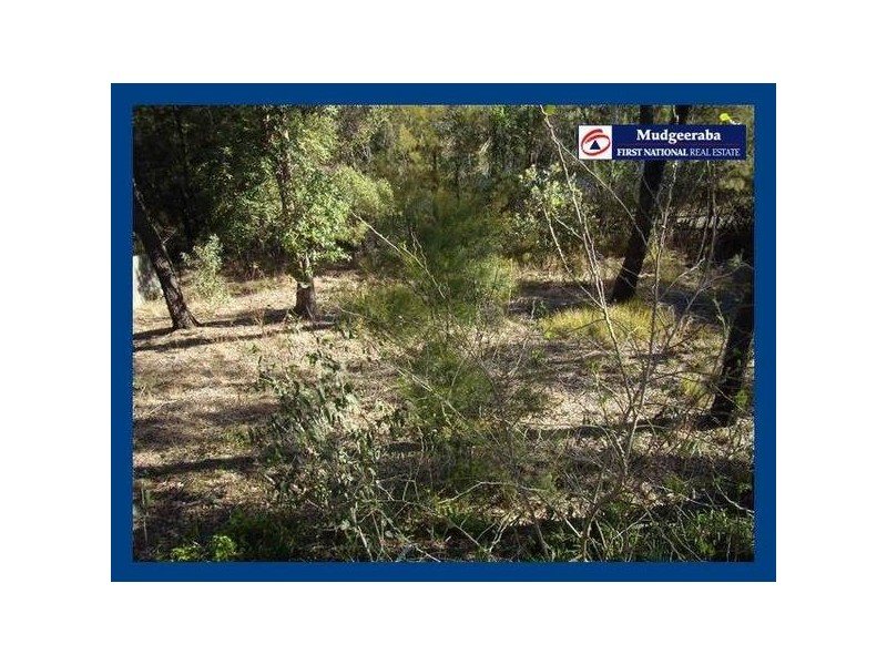 15 Swagman Court, Mudgeeraba QLD 4213