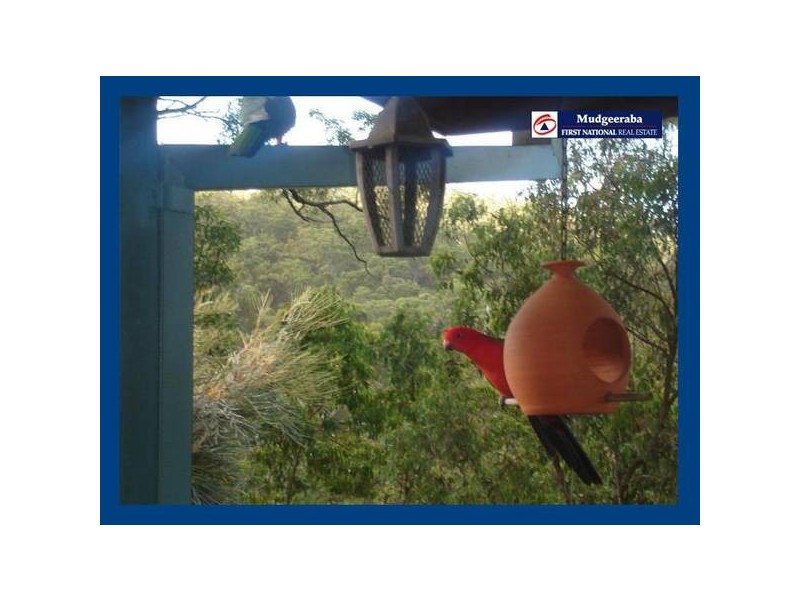 Hersden Court, Bonogin QLD 4213