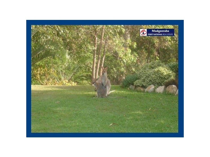 Hersden Court, Bonogin QLD 4213