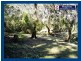 Springbrook QLD 4213