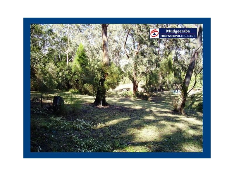 Springbrook QLD 4213