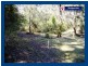 Springbrook QLD 4213